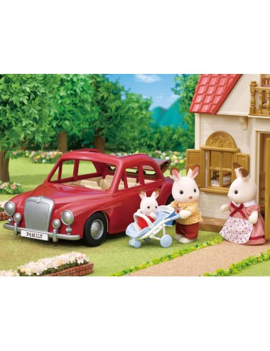 Family Saloon Car (Coche...