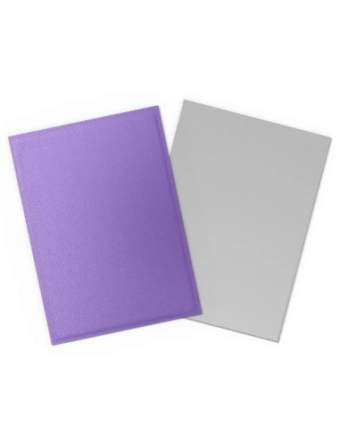 Nebula & Silver (Exterior...