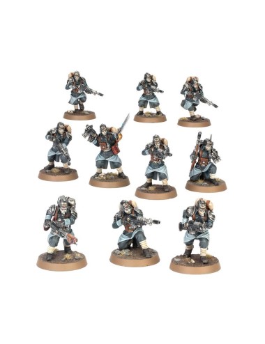 Astra Militarum Death Korps...