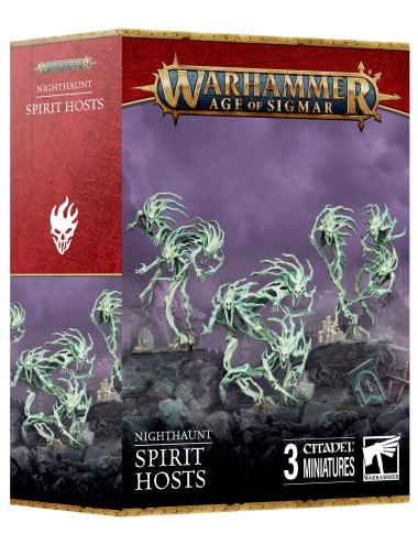 Nighthaunt Spirit Hosts...
