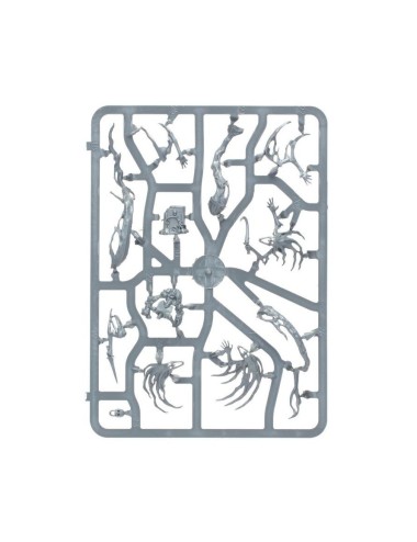 Nighthaunt Spirit Hosts...