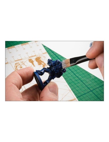 Large Dry Brush (Pincel Dry...