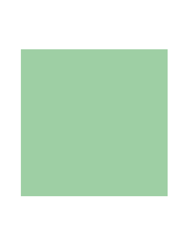 Spearmint (Hierbabuena)...